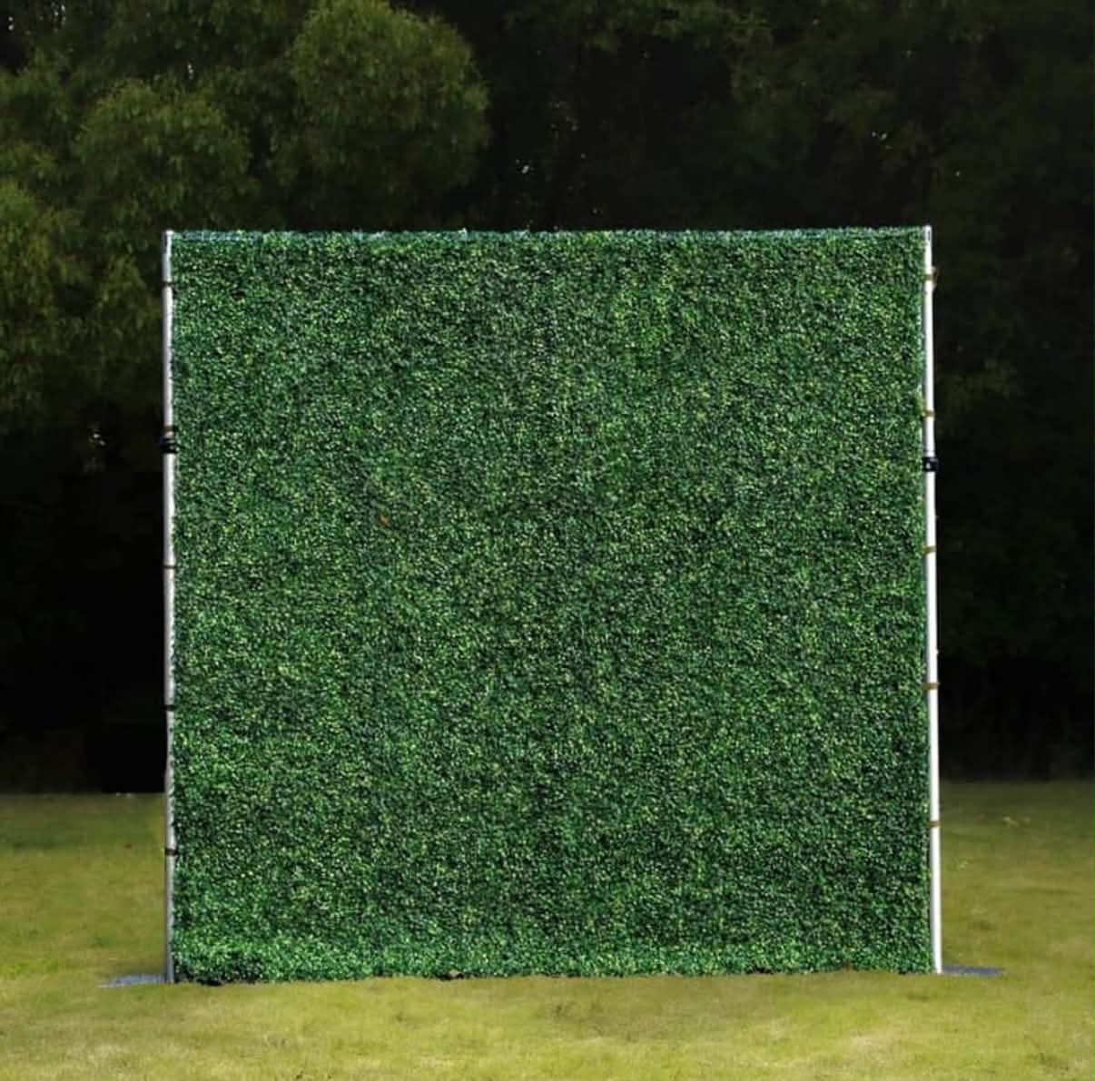 Grass Backdrop
